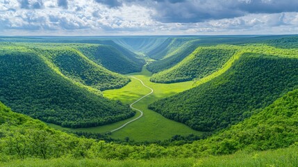 Fototapeta premium Aerial view of a winding mountain road cutting through lush green forests a car driving through breathtaking summer scenery Stock Photo with side copy space