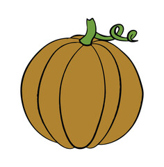 Halloween pumpkin isolated on white background