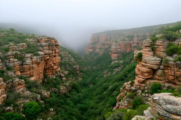 Misty canyon landscape, green valley