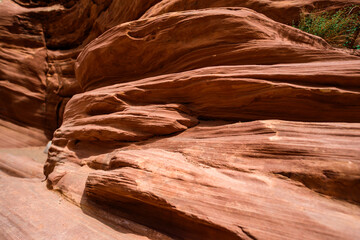 Eroded by water and wind cliffs in the canyon, Little Wild Horse Canyon, San Rafael Swell, Utah