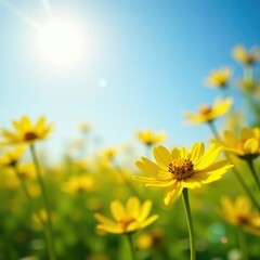 Sunshine yellow wildflowers sway gently in the breeze, wildflowers, sunshine