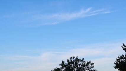 Obraz premium Serene Blue Sky with Silhouetted Treetops