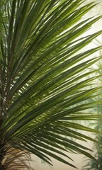Fototapeta premium Single palm frond against a blurred background with natural textures , texture, single palm leaf, plant detail, foliage