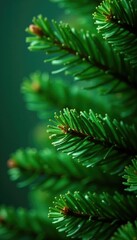 Obraz premium A delicate sprinkle of green glitter dust on the lush green fir Christmas tree's foliage, holiday decor, sparkling