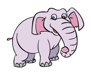 Elephant isolated on white background