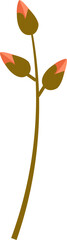 Floral Branch With Buds