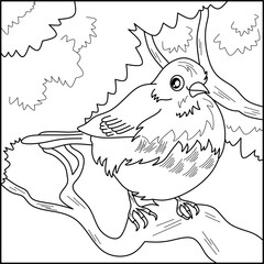 Junco bird line art for coloring book with simple background