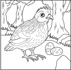 Quail bird line art for coloring book with simple background