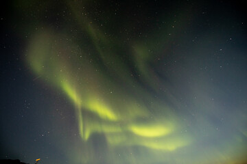 Fototapeta premium tanzende polarlichter