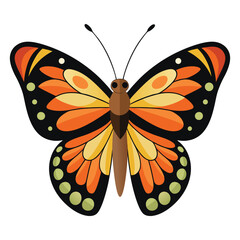 Cute beautiful color butterfly logo vector 29