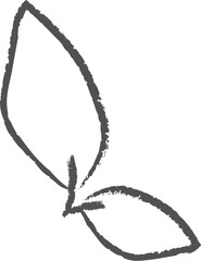 Leaves Hand Drawn Sketch