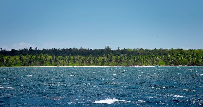Seashore view of tropical island beach with palm trees on the coastal exotic travel caribbean panorama