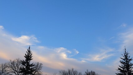 Serene Sunset Sky with Silhouetted Pine Trees