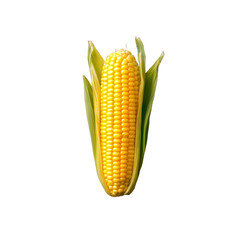 Yellow corn on cob isolated on transparent background