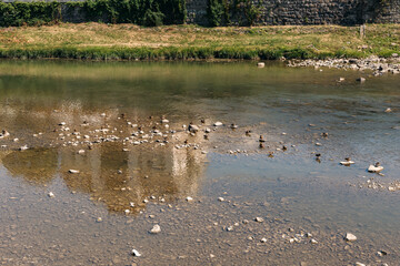 Resting ducks are perched on rocks in a shallow river, while the clear water reflects a stone building under the bright sun, creating a tranquil and picturesque scene. Animal, summer