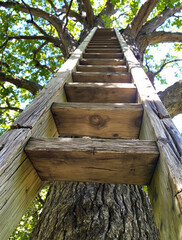 Vintage Ladder of Worn Timber Exposed to Sunbeams, Holding Memories of Long-Gone Days