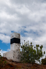 Echium in the nature, Madeira, Portugal