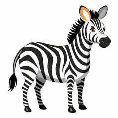 zebra vector illustration