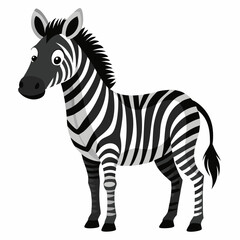 zebra vector illustration