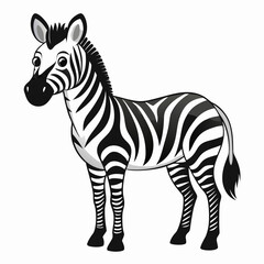 zebra vector illustration