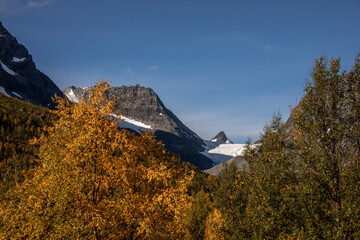 berg mit schnee und eis hinter bäumen