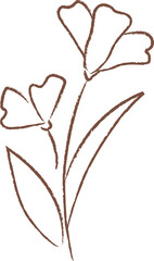 Flower Hand Drawn Sketch
