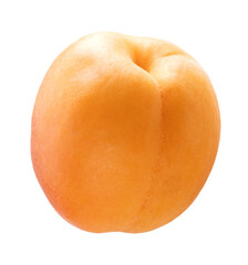Fresh apricot isolated on white background