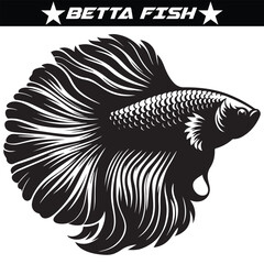 Betta fish vector illustration isolated on a white background