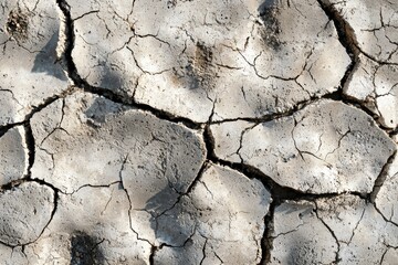 Fototapeta premium Dried Cracked Earth Surface Showing Extensive Drought