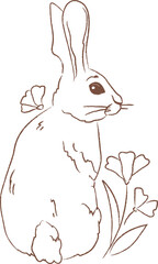 Rabbit With Flowers Sketch