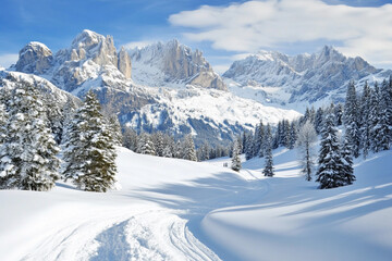 Snowy mountain landscape with pine trees and clear sky
