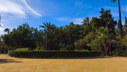 Park palmy © Bartlomiej
