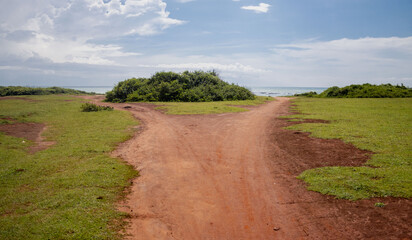 soil road in grass land , sky sea background 