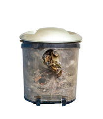 Compartment full of dirt, debris, dust, hair and fur. Vacuum cleaner filter. Container full of dirt. Household chores. Isolated on a transparent background.