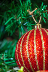 Close-up of red glitter balls with gold lines decorating green Christmas tree.