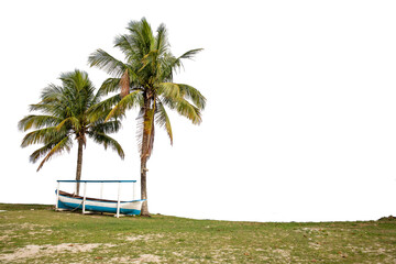 Two coconut trees, small fishing boat, blue and white, on green grass isolated on transparent background.