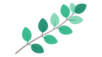 Watercolor Eucalyptus Branch Illustration