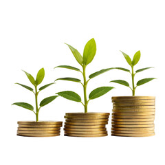 A Conceptual Image of Three Green Plants Growing on Stacks of Golden Coins, Symbolic of Financial Growth and Prosperity.