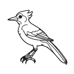 Obraz premium magpie robin line art vector on white background