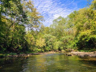 Obraz premium Tranquil River and Forest Canopy with Dappled Light in Hocking Hills