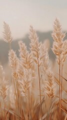 Fototapeta premium Blurry golden wheat stalks moving in slow motion, soft and warm rustic feel
