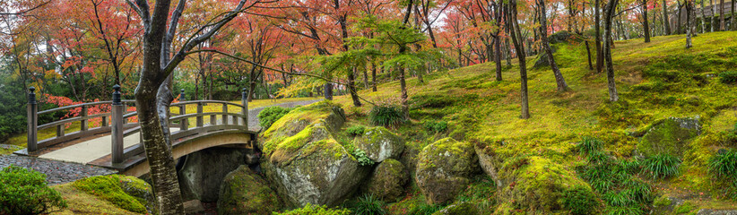 Japanese garden panorama in autumn season