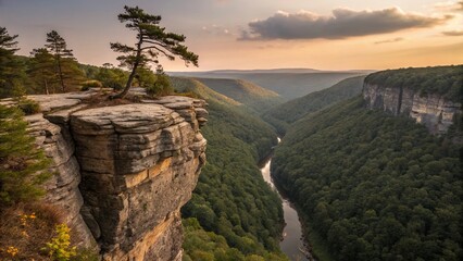 A breathtaking canyon scene at sunset features a dramatic cliff with a lone tree, overlooking a winding river and dense forest stretching into the hazy horizon. 