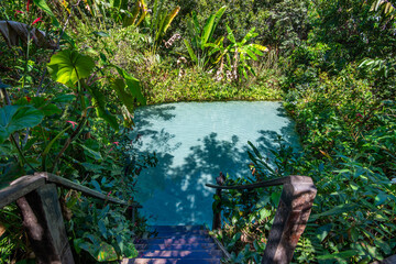 View of Fervedouro Por Enquanto, a unique karst spring located at Jalapão State Park - Tocantins, Brazil