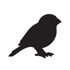 Fototapeta premium sparrow isolated silhouette vector on white background