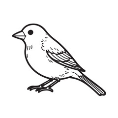 sparrow line art vector