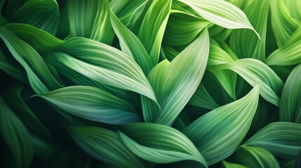 Obraz premium Close-up View of Lush Green Leaves, Nature's Artistic Masterpiece