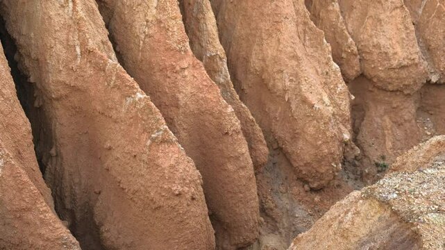 roundup on a deep gully in a slope of red clay