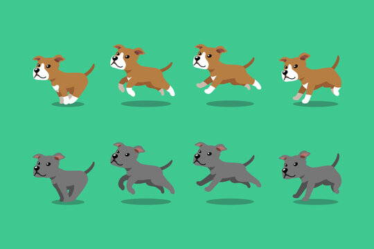 Vector cartoon character pit bull terrier dog running step for design.