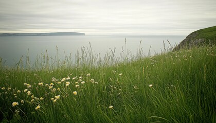Obraz premium Coastal landscape with grass and sea water beach. Ocean horizon background.